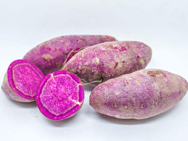 有机紫薯