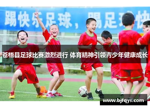 苍梧县足球比赛激烈进行 体育精神引领青少年健康成长